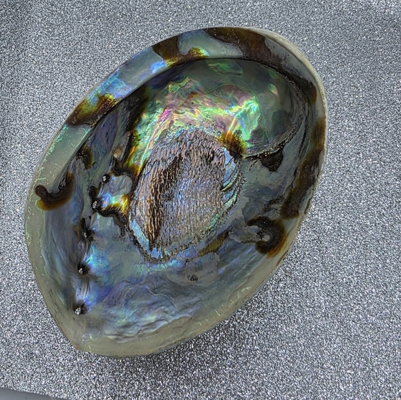 Rainbow Abalone Shell Smudging Bowl Incense Holder & Crystal Trinket Bowl - Picture 2 of 7